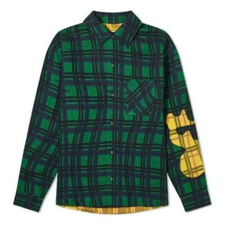 Flanell-Hemd mit Aufdruck, langärmelig, Herren, grün